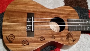 I&rsquo;m also learning the Ukulele, but it&rsquo;s less resume worthy in the IT industry&mldr; at least until I show you all how to administrate your database with one.